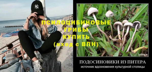 винт Алексеевка