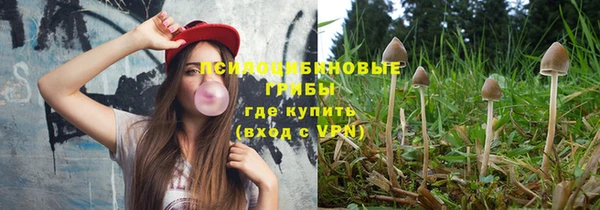 винт Алексеевка