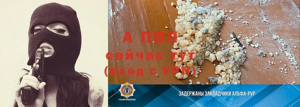 ГАЛЛЮЦИНОГЕННЫЕ ГРИБЫ Медвежьегорск