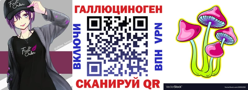 Галлюциногенные грибы Psilocybe  Копейск 
