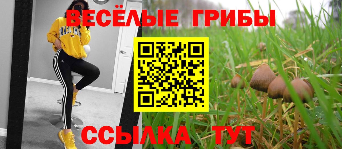 Копейск  Псилоцибиновые грибы мицелий  Псилоцибиновые грибы прущие грибы  Вход с VPN 